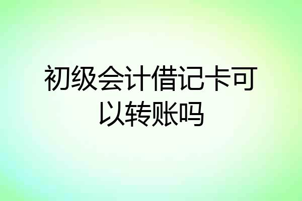 初级会计借记卡可以转账吗