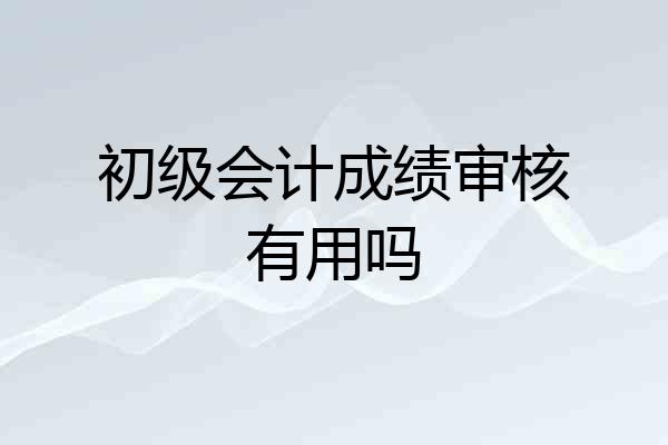 初级会计成绩审核有用吗