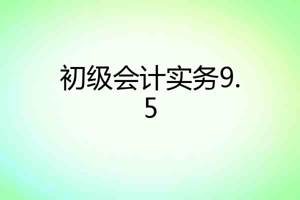 初级会计实务9.5