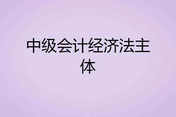 中级会计经济法主体