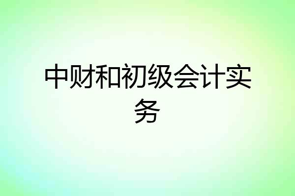 中财和初级会计实务