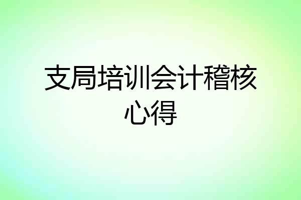 支局培训会计稽核心得