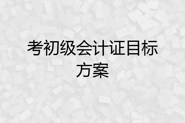考初级会计证目标方案