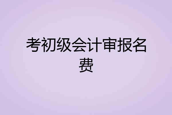 考初级会计审报名费