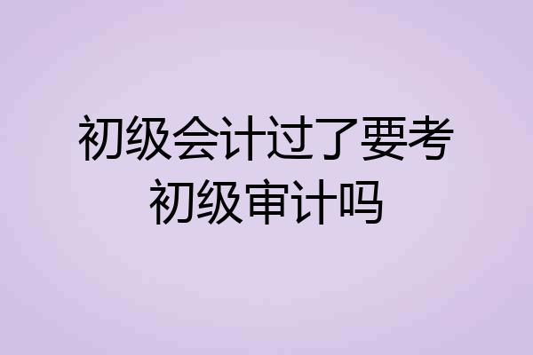 初级会计过了要考初级审计吗