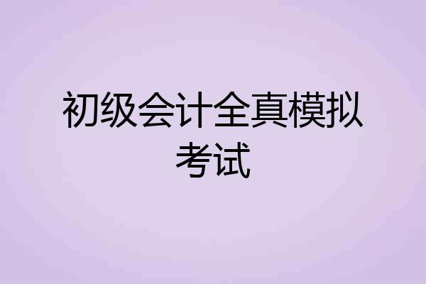 初级会计全真模拟考试