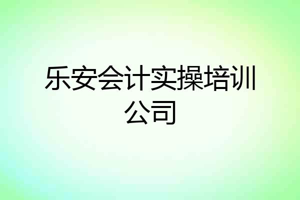 乐安会计实操培训公司