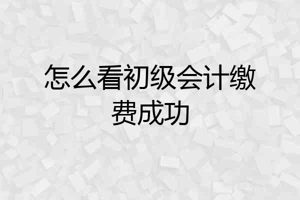 怎么看初级会计缴费成功