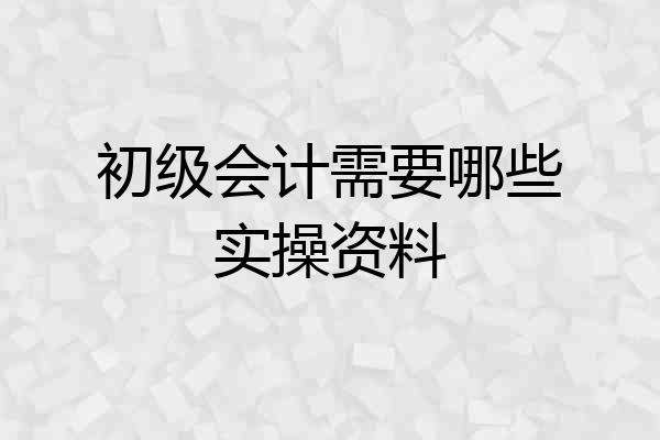 初级会计需要哪些实操资料
