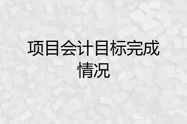 项目会计目标完成情况