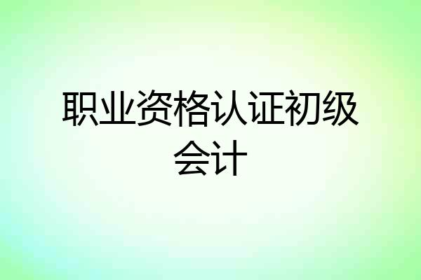 职业资格认证初级会计