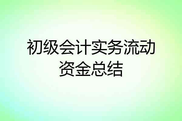 初级会计实务流动资金总结