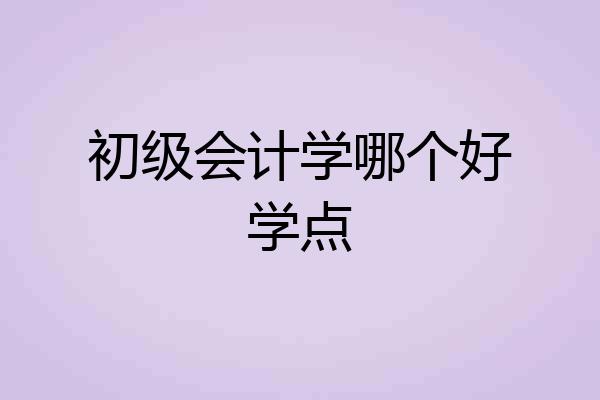 初级会计学哪个好学点