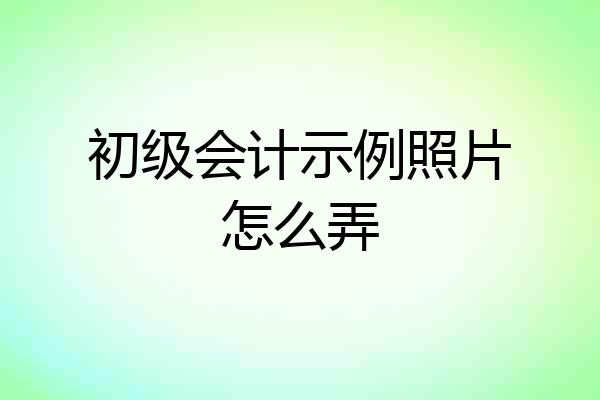 初级会计示例照片怎么弄