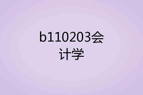 b110203会计学