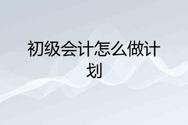 初级会计怎么做计划