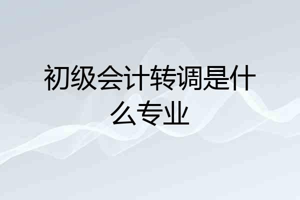 初级会计转调是什么专业