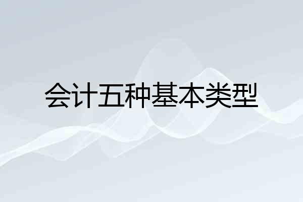 会计五种基本类型
