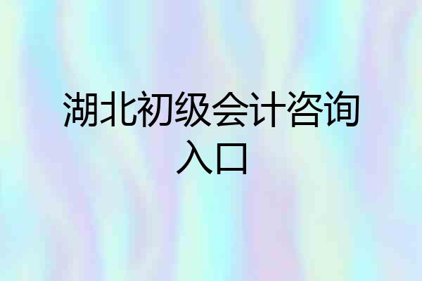湖北初级会计咨询入口