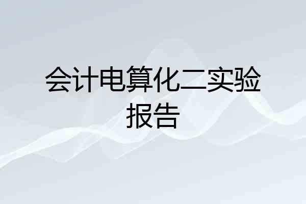 会计电算化二实验报告