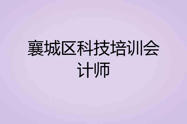 襄城区科技培训会计师