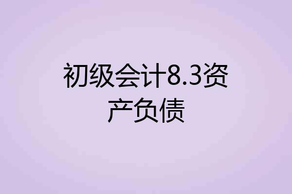 初级会计8.3资产负债