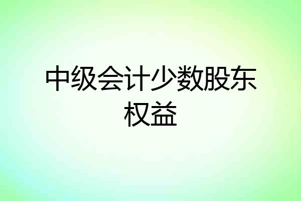 中级会计少数股东权益