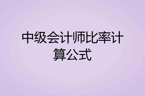 中级会计师比率计算公式