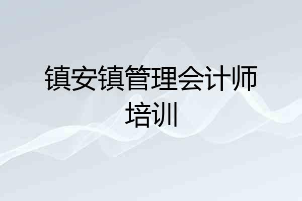 镇安镇管理会计师培训