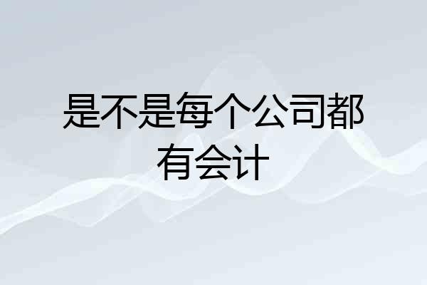 是不是每个公司都有会计