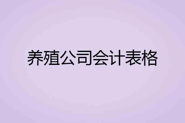 养殖公司会计表格