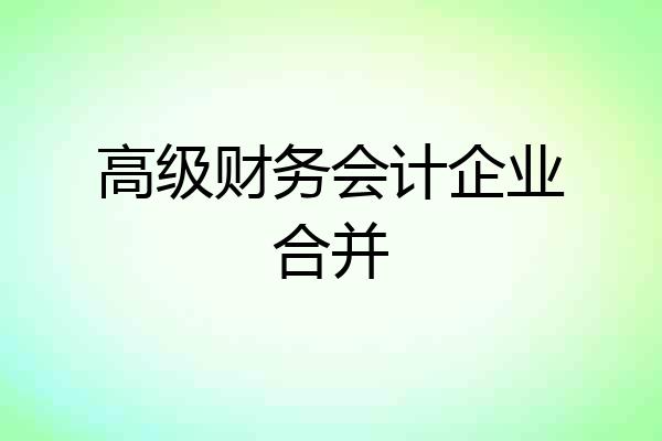 高级财务会计企业合并