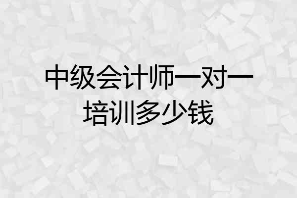 中级会计师一对一培训多少钱