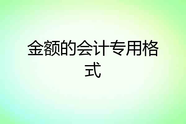 金额的会计专用格式