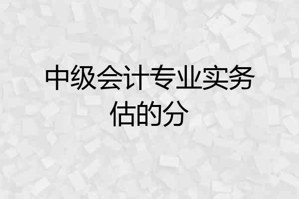 中级会计专业实务估的分