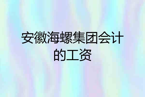安徽海螺集团会计的工资