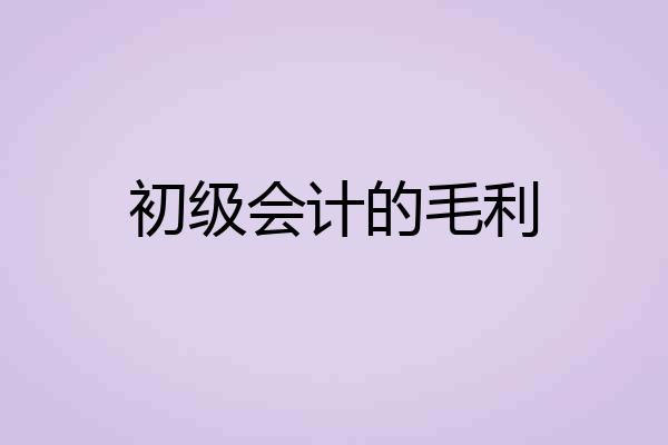 初级会计的毛利