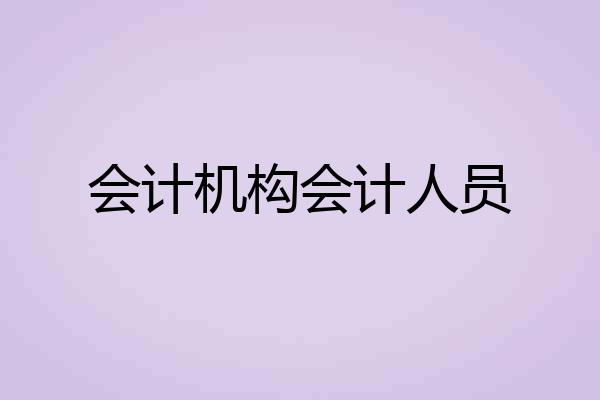会计机构会计人员