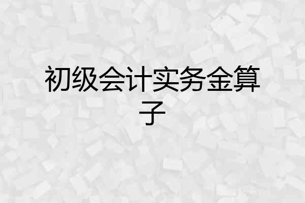 初级会计实务金算子