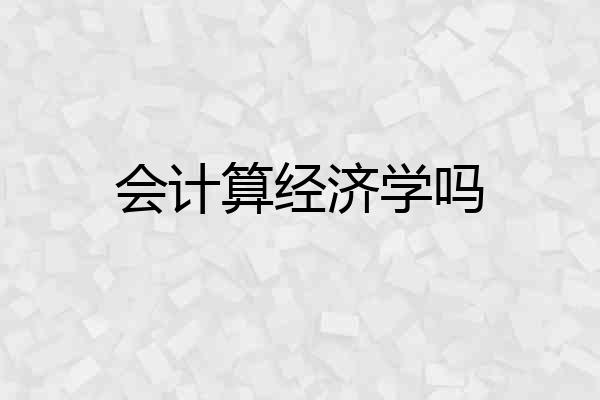 会计算经济学吗