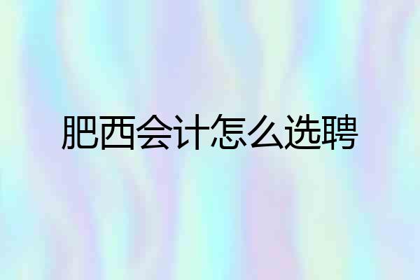 肥西会计怎么选聘