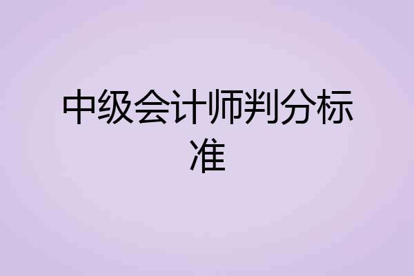 中级会计师判分标准