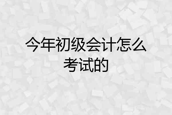 今年初级会计怎么考试的