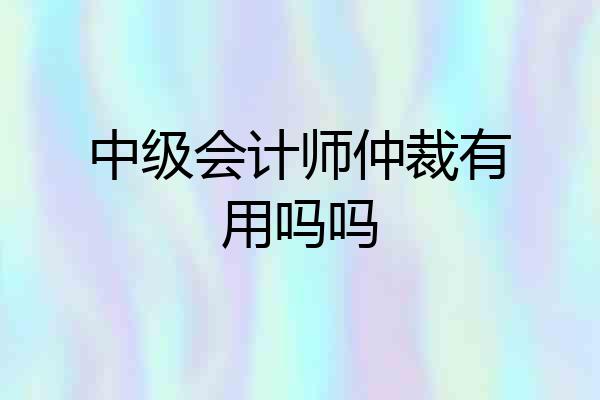 中级会计师仲裁有用吗吗