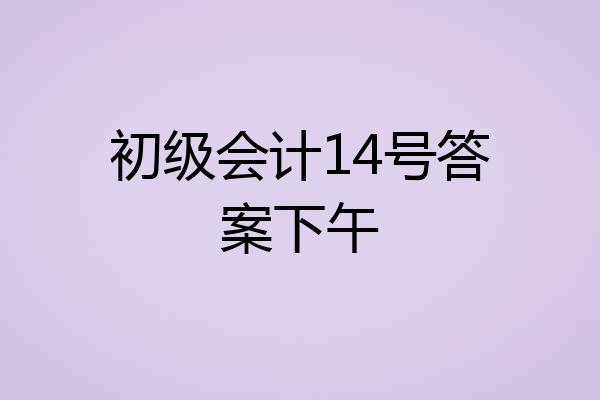 初级会计14号答案下午