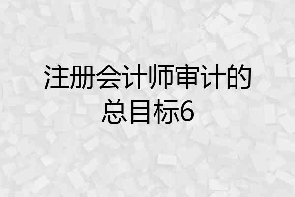 注册会计师审计的总目标6