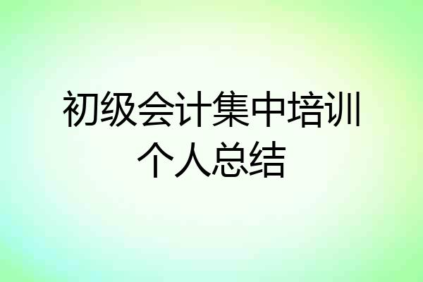 初级会计集中培训个人总结