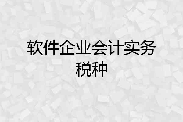 软件企业会计实务税种