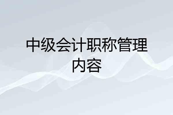 中级会计职称管理内容
