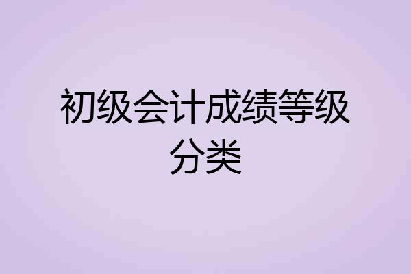 初级会计成绩等级分类
